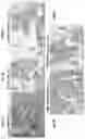 Fig. 10 - Complexes and methods of reducing inflammation
