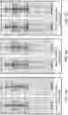 Fig. 07 - METHODS OF PROMOTING LONG-TERM SURVIVAL OF PATIENTS WITH ADVANCED CHEMOTHERAPY-RESISTANT MALIGNANCIES
