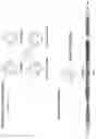 Fig. 07 - AAV VECTOR-MEDIATED DELETION OF LARGE MUTATIONAL HOTSPOT FOR TREATMENT OF DUCHENNE MUSCULAR DYSTROPHY