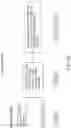 Fig. 13 - CLOSED-ENDED DNA (CEDNA) AND IMMUNE MODULATING COMPOUNDS