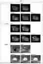 Fig. 02 - NANOPARTICLE, CONTRAST AGENT FOR MAGNETIC RESONANCE IMAGING COMPRISING SAME AND ZWITTERIONIC LIGAND COMPOUND