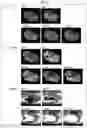 Fig. 04 - NANOPARTICLE, CONTRAST AGENT FOR MAGNETIC RESONANCE IMAGING COMPRISING SAME AND ZWITTERIONIC LIGAND COMPOUND