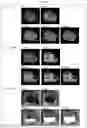 Fig. 05 - NANOPARTICLE, CONTRAST AGENT FOR MAGNETIC RESONANCE IMAGING COMPRISING SAME AND ZWITTERIONIC LIGAND COMPOUND