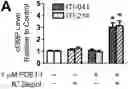 Fig. 01 - ORGANIC COMPOUNDS