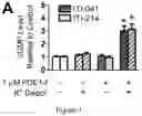Fig. 02 - ORGANIC COMPOUNDS