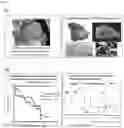 Fig. 05 - COATING-SECURING AGENT