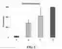 Fig. 06 - Compacted hemostatic cellulosic aggregates
