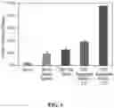 Fig. 07 - Compacted hemostatic cellulosic aggregates