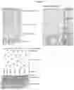 Fig. 03 - Non-cultured, partially digested, cryopreserved cartilage product