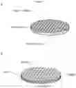 Fig. 16 - Non-cultured, partially digested, cryopreserved cartilage product