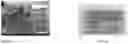 Fig. 11 - BICOMPONENT FIBER-BASED SCAFFOLDS FOR MULTIPLE TISSUE JUNCTION REGENERATION