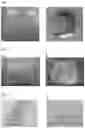 Fig. 02 - DECELLULARIZED PLACENTAL MEMBRANE AND METHODS OF PREPARING AND USE THEREOF