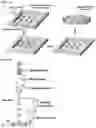 Fig. 02 - THERAPEUTIC HYDROGEL DEVICE
