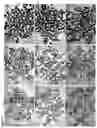 Fig. 09 - THERAPEUTIC HYDROGEL DEVICE