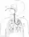 Fig. 01 - METHODS AND DEVICES FOR PASSIVE RESIDUAL LUNG VOLUME REDUCTION AND FUNCTIONAL LUNG VOLUME EXPANSION