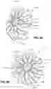 Fig. 18 - RESPIRATORY PRESSURE THERAPY SYSTEM