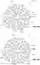 Fig. 20 - RESPIRATORY PRESSURE THERAPY SYSTEM