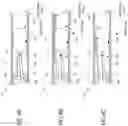 Fig. 05 - Systems, devices and methods for performing medical procedures in the intestine