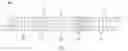 Fig. 04 - TUBE STRUCTURE