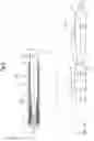 Fig. 10 - Guide Wires