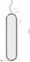 Fig. 03 - APPARATUS AND METHOD FOR INACTIVATING INFECTIOUS ORGANISMS IN HUMAN BODY
