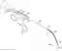 Fig. 01 - Endoscopic balloon dilator systems