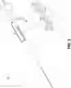 Fig. 04 - Endoscopic balloon dilator systems