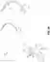 Fig. 20 - Endoscopic balloon dilator systems