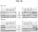 Fig. 16 - Implants for localized drug delivery and methods of use thereof