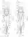 Fig. 02 - Needle modules and associated methods