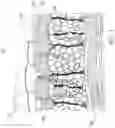 Fig. 02 - METHOD AND DEVICE FOR COMBINED HEATING AND MUSCLE STIMULATION