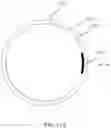 Fig. 21 - CURRENT STIMULATION APPARATUS