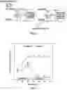 Fig. 05 - High frequency electrostimulation treatment for restless legs syndrome or periodic limb movement disorder