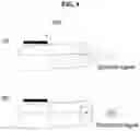 Fig. 05 - Micro device of nerve signal recording and stimulating for diagnosis and treatment of chronic pain or alzheimer's disease