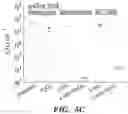 Fig. 07 - Bactericidal methods and compositions