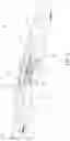 Fig. 11 - Fitness slider