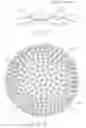 Fig. 02 - GOLF BALLS HAVING COVERS WITH DECORATIVE EFFECT COATINGS