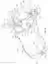 Fig. 11 - Golf club head