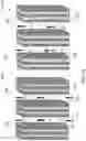 Fig. 09 - Electrochemical process for gas separation