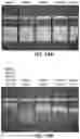 Fig. 11 - Substrate with channels for controlled fluid flow