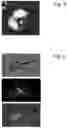 Fig. 07 - METHOD AND APPARATUS FOR ISOLATING DESIRED CELLS FROM SUSPENSIONS WITH NON-MAGNETIC BIOLOGICAL MATERIALS