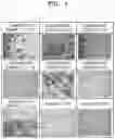 Fig. 03 - Laminate, display including the same, and article including the display
