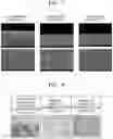 Fig. 06 - Laminate, display including the same, and article including the display