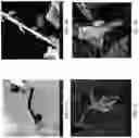 Fig. 14 - Metal macrostructures