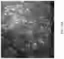 Fig. 16 - Metal macrostructures