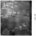 Fig. 21 - Metal macrostructures