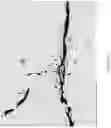 Fig. 27 - Metal macrostructures