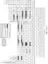 Fig. 40 - Metal macrostructures