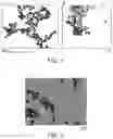Fig. 02 - Method for the synthesis of mesoporous platinum nanoparticles in an aqueous environment