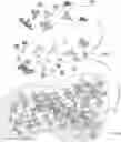 Fig. 01 - Methods of forming metal nanomaterials